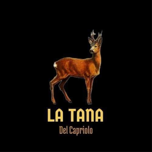 La Tana Del Capriolo Apartment Prati di Tivo Bagian luar foto