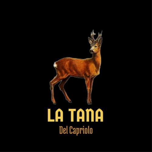 La Tana Del Capriolo Apartment Prati di Tivo Bagian luar foto